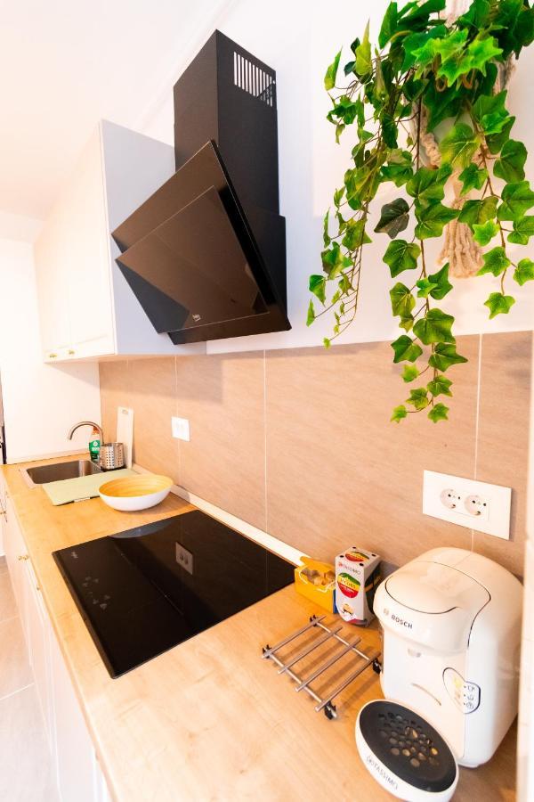 Brown Bear Apt. Boho Style Bedroom W/ City View & Free Parking 布拉索夫 外观 照片